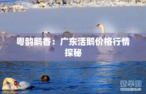 联系方式 第388页