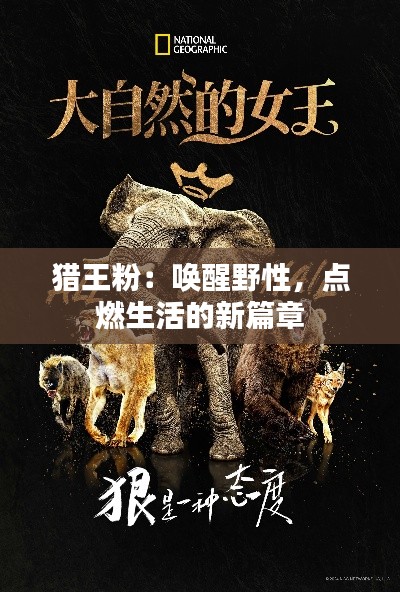 公司介绍 第398页