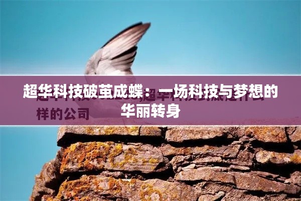 联系方式 第379页