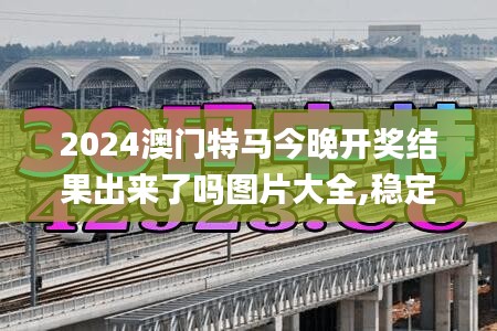 2024澳门特马今晚开奖结果出来了吗图片大全,稳定性操作方案分析_zShop7.596
