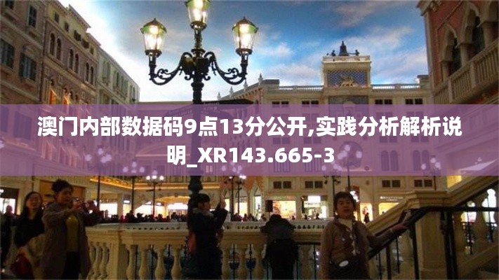 澳门内部数据码9点13分公开,实践分析解析说明_XR143.665-3