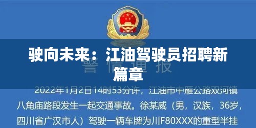 避凶就吉 第5页
