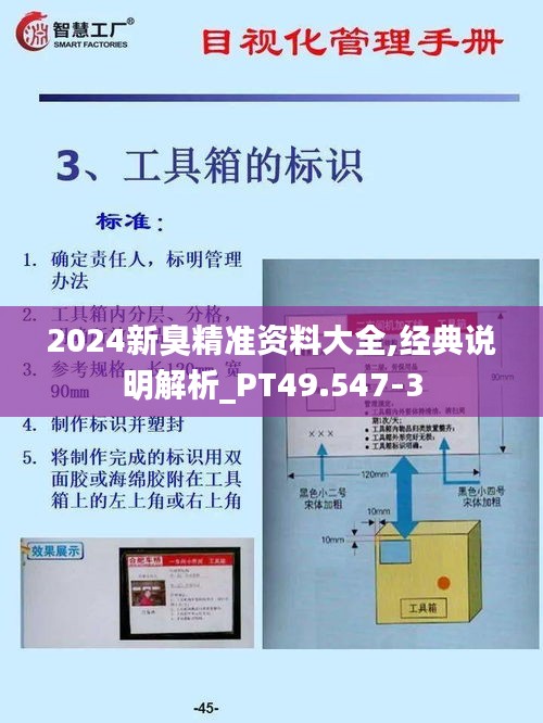 2024新臭精准资料大全,经典说明解析_PT49.547-3