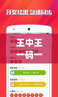 王中王一码一肖一特一中2024年,精细定义探讨_7DM147.459-4