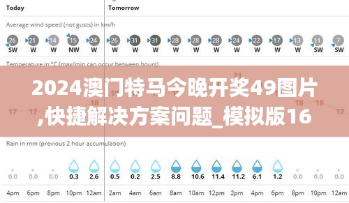 2024澳门特马今晚开奖49图片,快捷解决方案问题_模拟版16.516-3