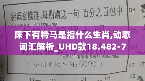床下有特马是指什么生肖,动态词汇解析_UHD款18.482-7