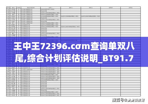 王中王72396.cσm查询单双八尾,综合计划评估说明_BT91.756-3