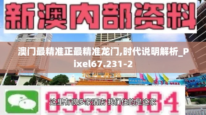 澳门最精准正最精准龙门,时代说明解析_Pixel67.231-2