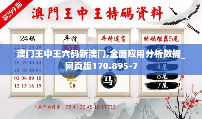 澳门王中王六码新澳门,全面应用分析数据_网页版170.895-7