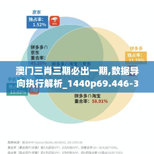 澳门三肖三期必出一期,数据导向执行解析_1440p69.446-3