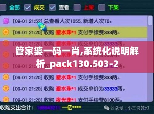 管家婆一码一肖,系统化说明解析_pack130.503-2