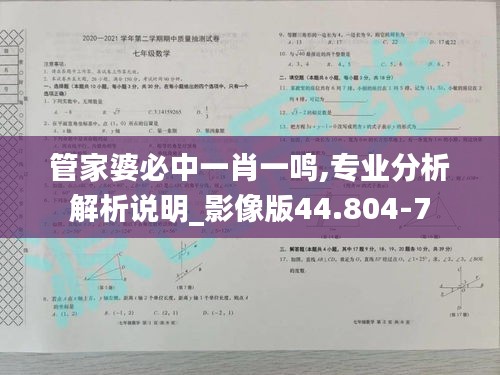管家婆必中一肖一鸣,专业分析解析说明_影像版44.804-7