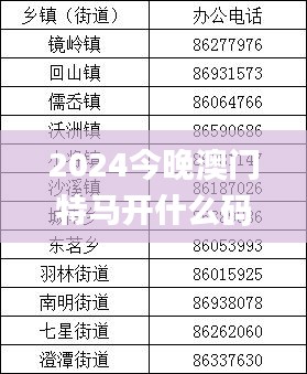 2024今晚澳门特马开什么码,高速响应执行计划_探索版8.295-7