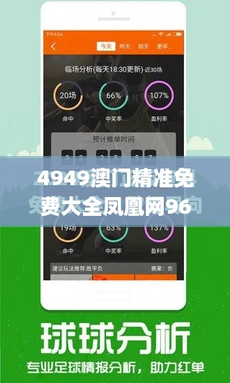 4949澳门精准免费大全凤凰网9626,灵活解析方案_扩展版89.893-4