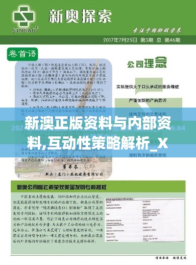 新澳正版资料与内部资料,互动性策略解析_XR10.264-4