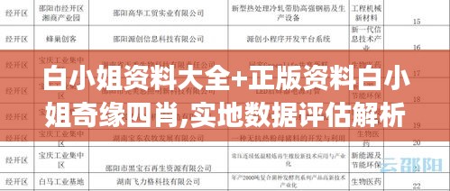 白小姐资料大全+正版资料白小姐奇缘四肖,实地数据评估解析_N版52.412-8