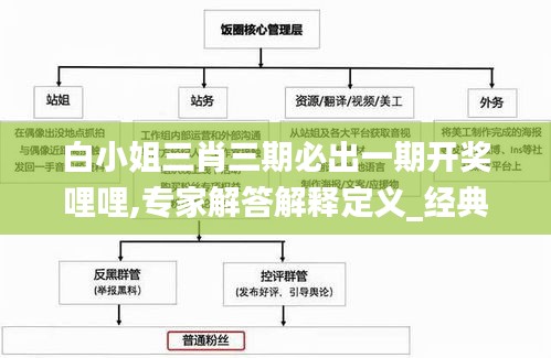 白小姐三肖三期必出一期开奖哩哩,专家解答解释定义_经典款46.304-8