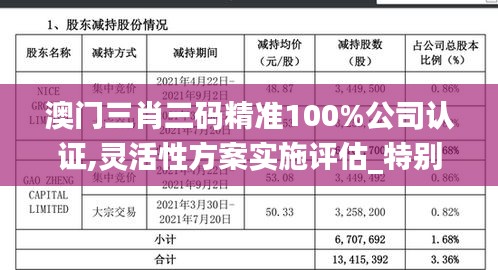 澳门三肖三码精准100%公司认证,灵活性方案实施评估_特别款6.970-4