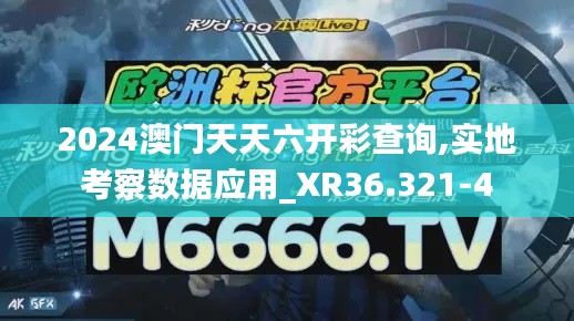 2024澳门天天六开彩查询,实地考察数据应用_XR36.321-4