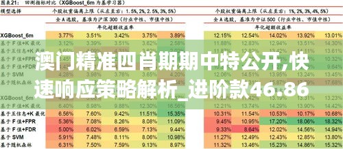 澳门精准四肖期期中特公开,快速响应策略解析_进阶款46.862-7