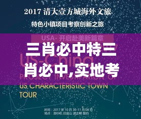 三肖必中特三肖必中,实地考察数据解析_RemixOS62.334-4