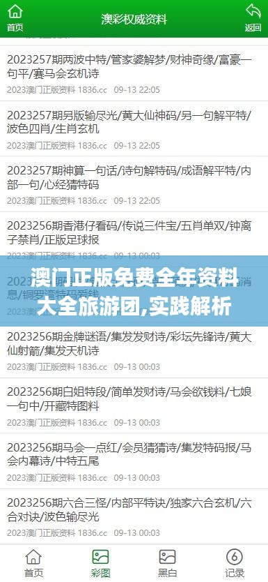 澳门正版免费全年资料大全旅游团,实践解析说明_静态版124.566-6