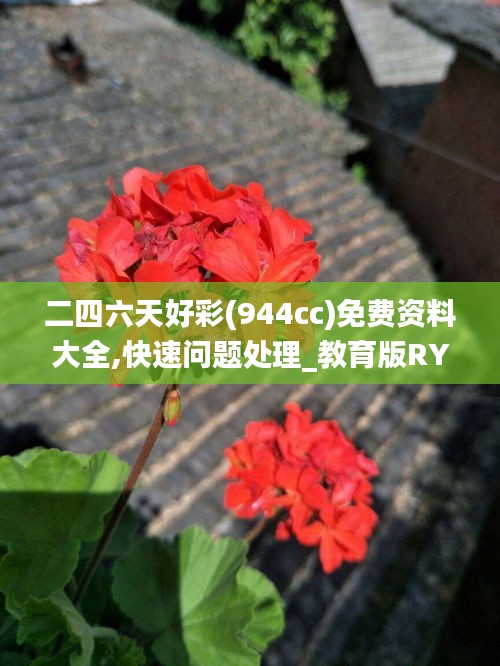 二四六天好彩(944cc)免费资料大全,快速问题处理_教育版RYU51.873