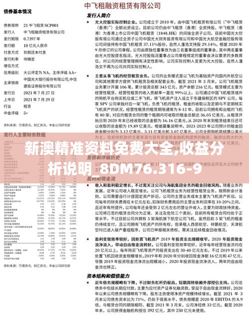 新澳精准资料免费大全,收益分析说明_8DM76.316-9