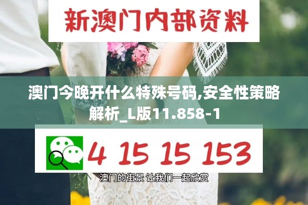 澳门今晚开什么特殊号码,安全性策略解析_L版11.858-1