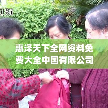 惠泽天下全网资料免费大全中国有限公司,未来解答解析说明_SHD87.620-6