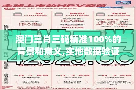 澳门三肖三码精准100%的背景和意义,实地数据验证实施_iPad81.184-2