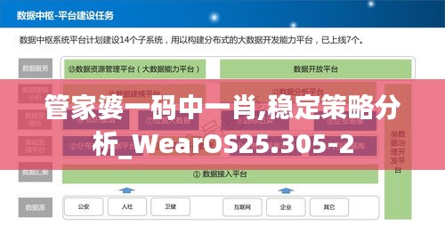 管家婆一码中一肖,稳定策略分析_WearOS25.305-2