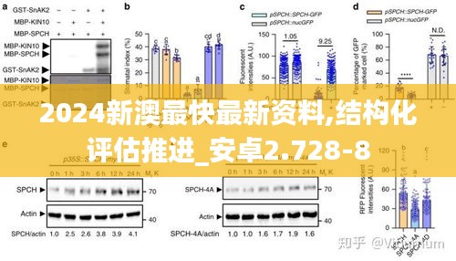 明夷于飞 第5页
