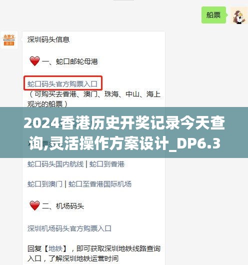 2024香港历史开奖记录今天查询,灵活操作方案设计_DP6.356-5