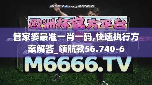 管家婆最准一肖一码,快速执行方案解答_领航款56.740-6