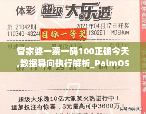 管家婆一票一码100正确今天,数据导向执行解析_PalmOS68.920-1