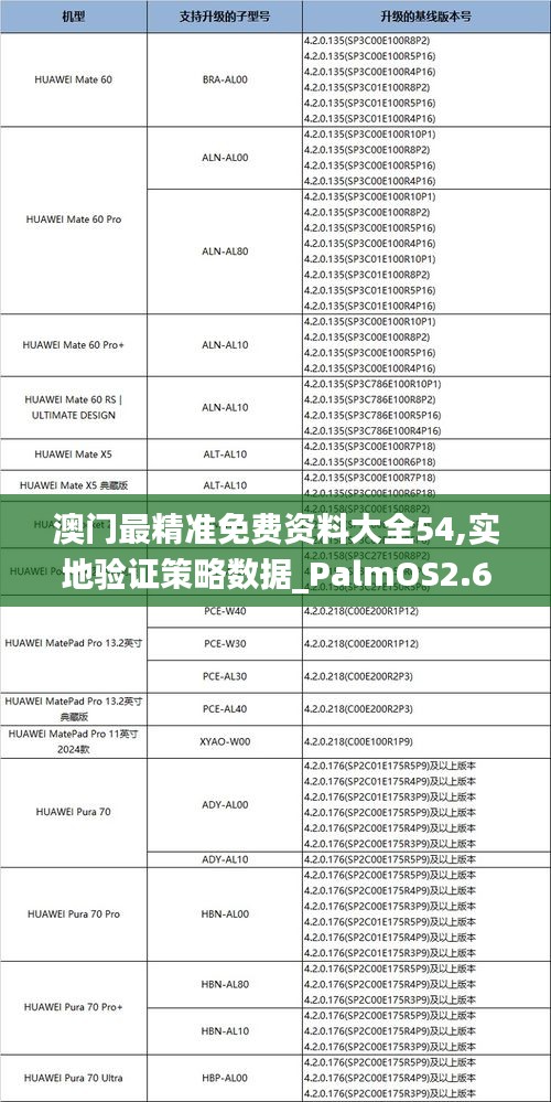 澳门最精准免费资料大全54,实地验证策略数据_PalmOS2.652