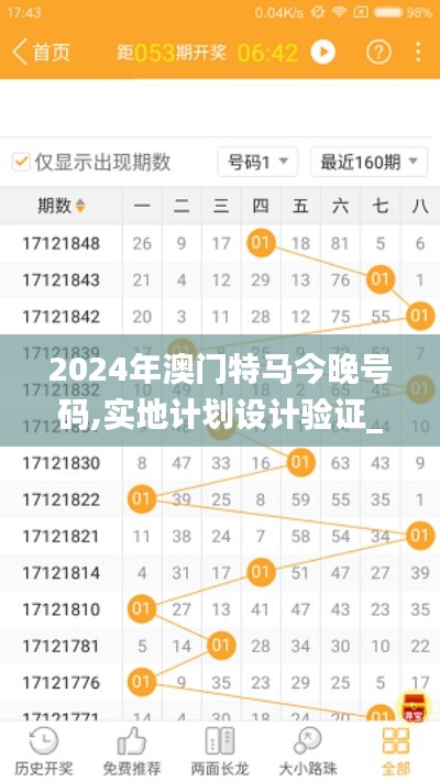 2024年澳门特马今晚号码,实地计划设计验证_XT4.446