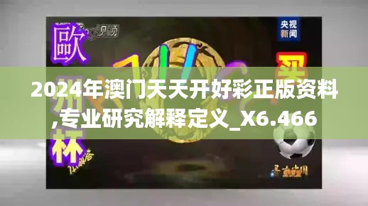 2024年澳门天天开好彩正版资料,专业研究解释定义_X6.466
