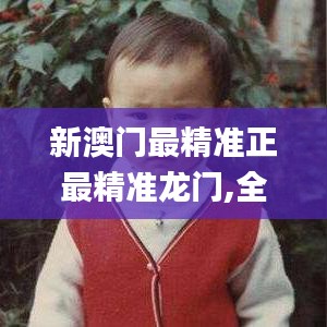 新澳门最精准正最精准龙门,全面实施分析数据_黄金版110.815