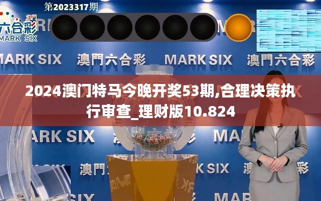 2024澳门特马今晚开奖53期,合理决策执行审查_理财版10.824