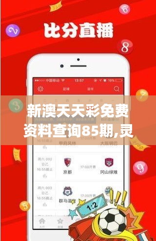 新澳天天彩免费资料查询85期,灵活解析执行_V版10.209
