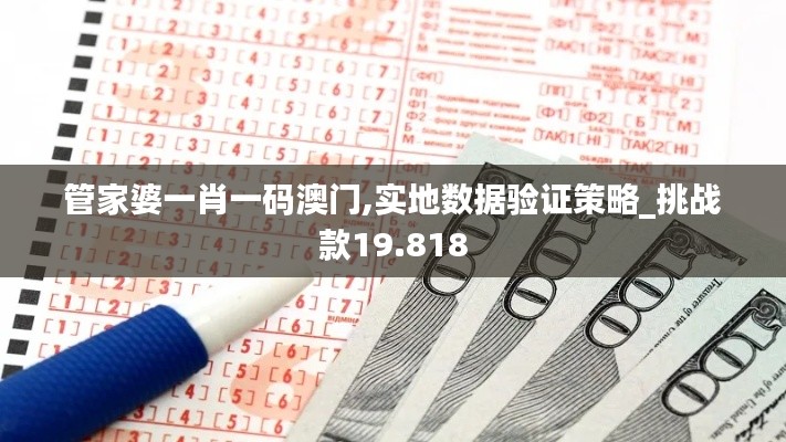 管家婆一肖一码澳门,实地数据验证策略_挑战款19.818