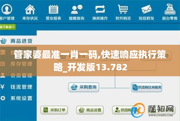 管家婆最准一肖一码,快速响应执行策略_开发版13.782