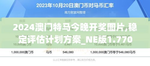 2024澳门特马今晚开奖图片,稳定评估计划方案_NE版1.770