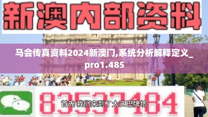 马会传真资料2024新澳门,系统分析解释定义_pro1.485