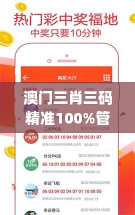 澳门三肖三码精准100%管家婆,深度解析数据应用_复古款7.306