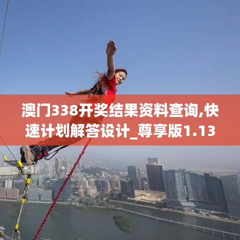 澳门338开奖结果资料查询,快速计划解答设计_尊享版1.133