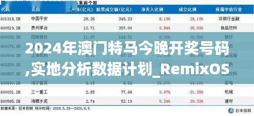 2024年澳门特马今晚开奖号码,实地分析数据计划_RemixOS4.200