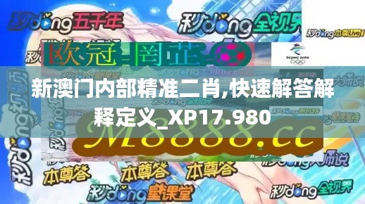 新澳门内部精准二肖,快速解答解释定义_XP17.980